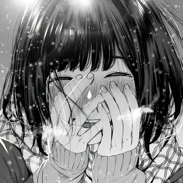 冬与你-phira资源站