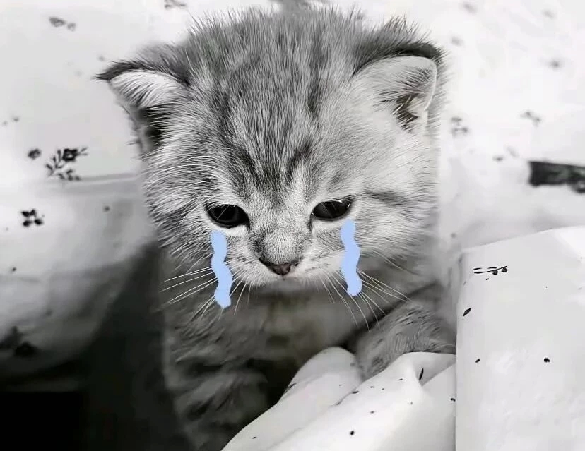 爱如潮水-phira资源站