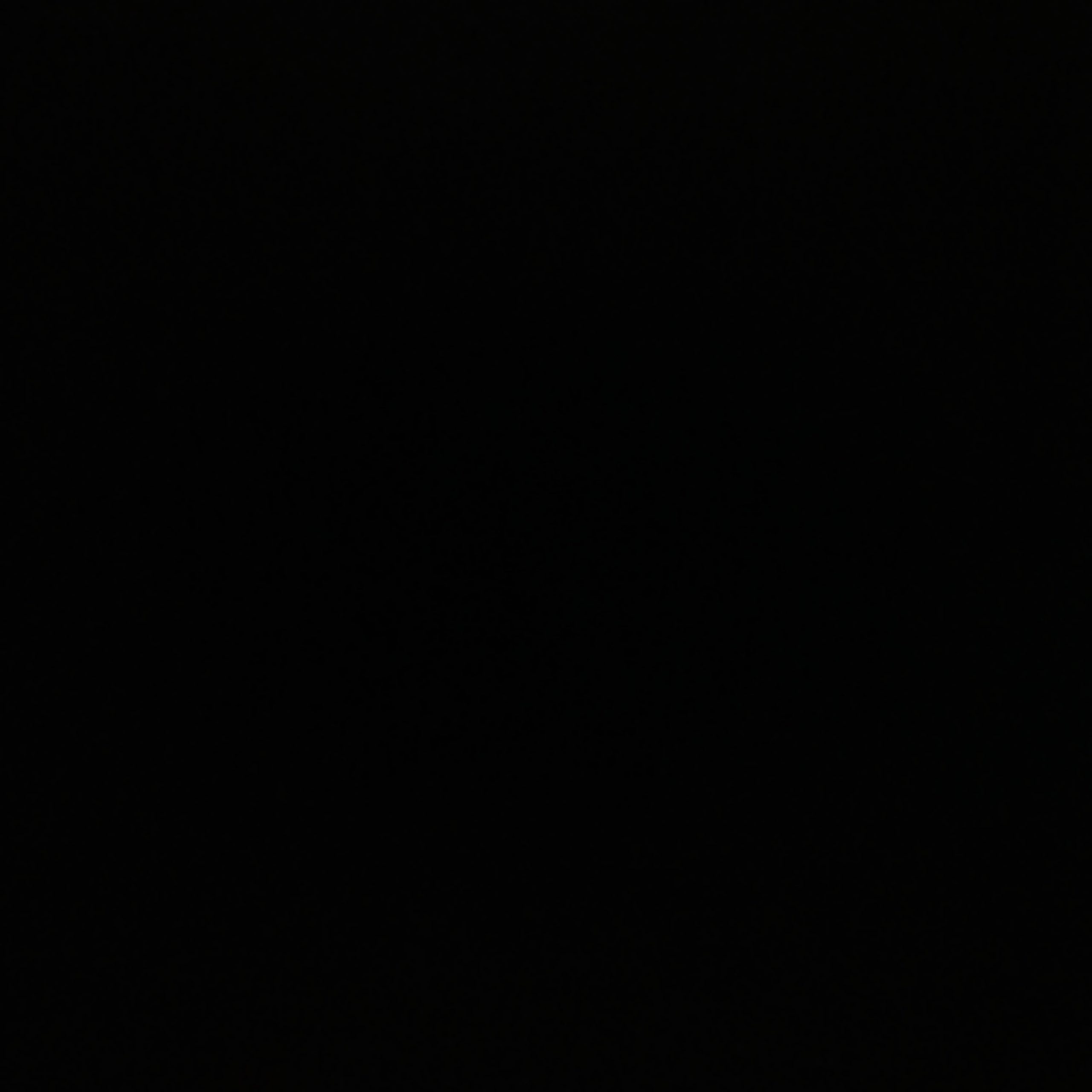情人-phira资源站