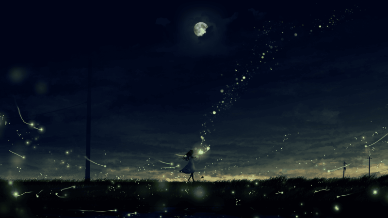 夜、萤火虫和你-phira资源站