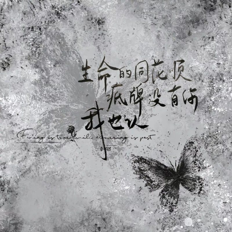同花顺-phira资源站
