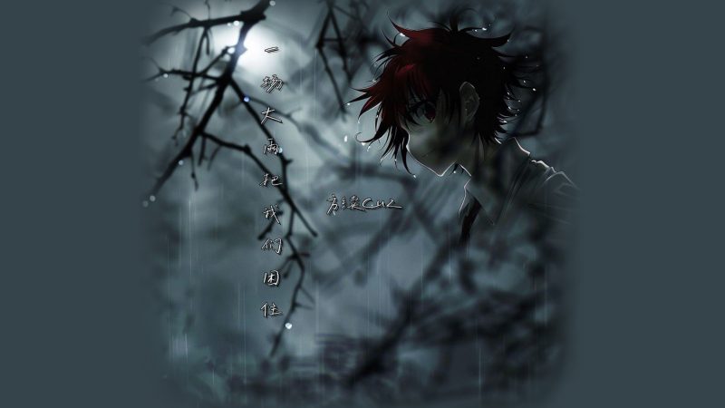 一场大雨把我们困住-phira资源站