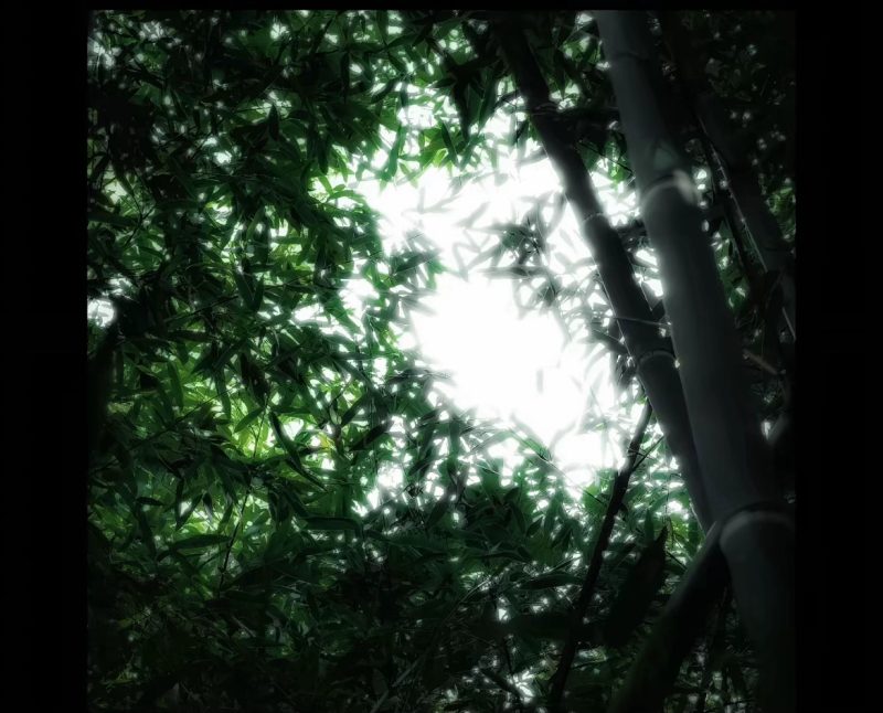 酒家-phira资源站