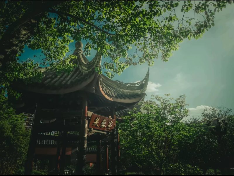 做个神仙-phira资源站