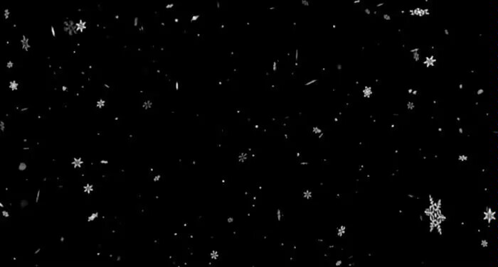 先说谎的人-phira资源站