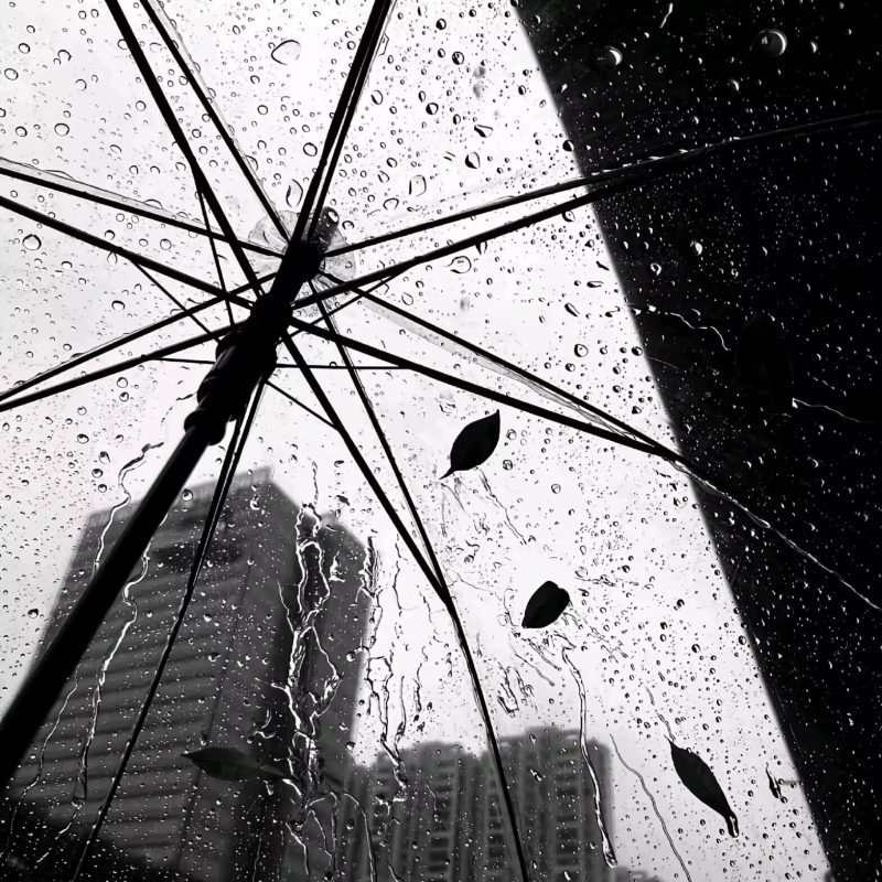 雨过后的风景-phira资源站