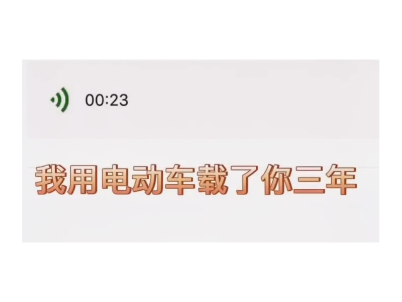 我用电动车载了你三年-phira资源站