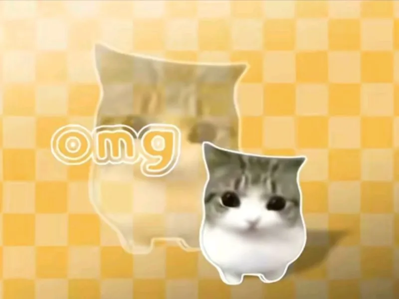 OMG-phira资源站