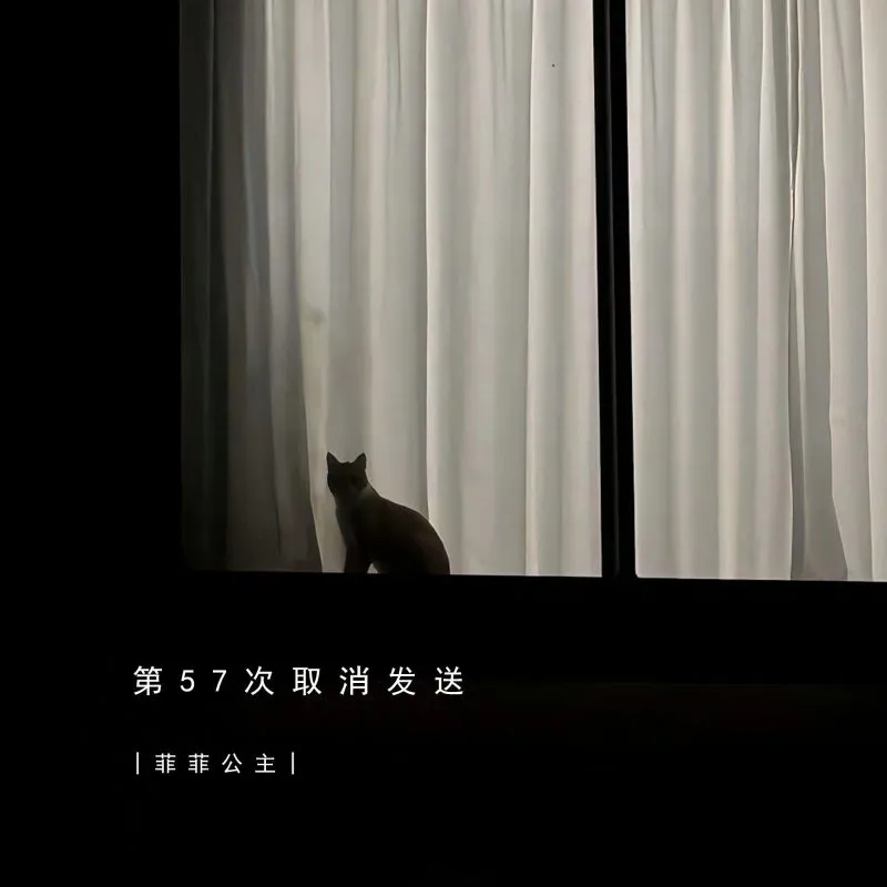 第57次取消发送4k-phira资源站