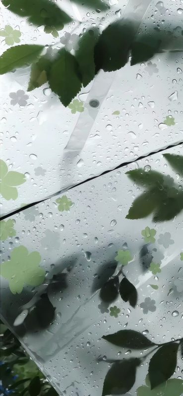 年轮-phira资源站